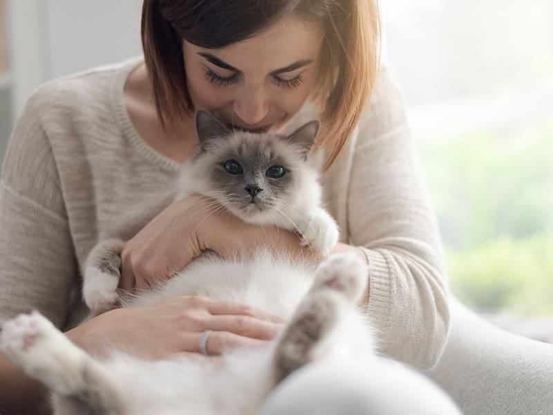 Woman cuddling a fluffy Ragdoll cat.