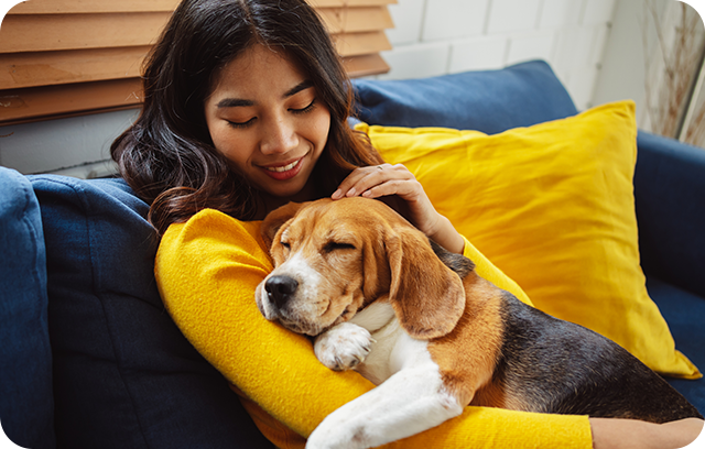 Woman cuddling a beagle dog on sofa.