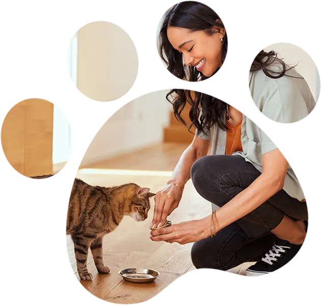 Woman feeding tabby cat from bowl.