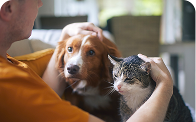 Here's an alt tag for the image: Man petting dog and cat.