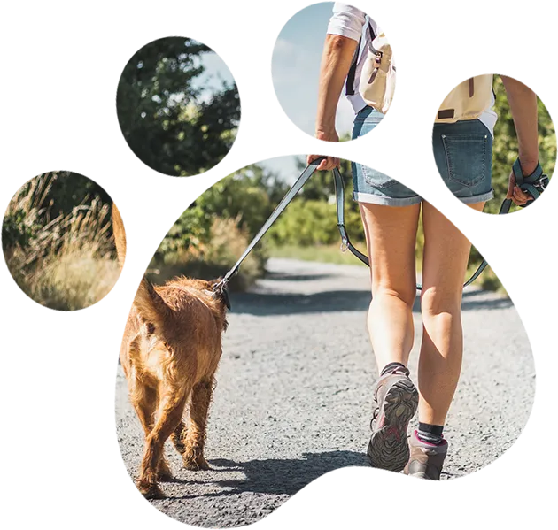 Woman walking dog on leash outdoors.